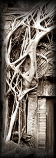 bc at angkor Wat
